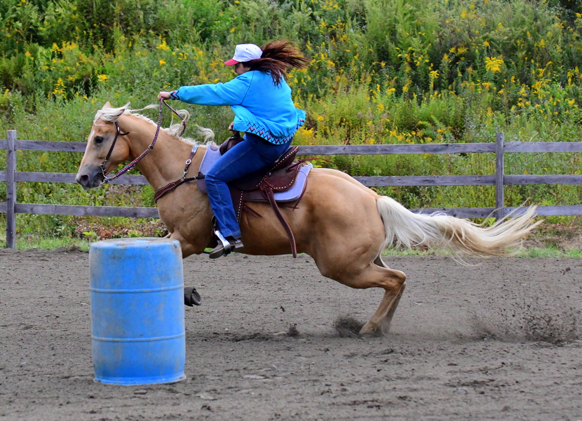 20230923 The Wolcott Country Fair; Equestrian Ring Part 2 Sports