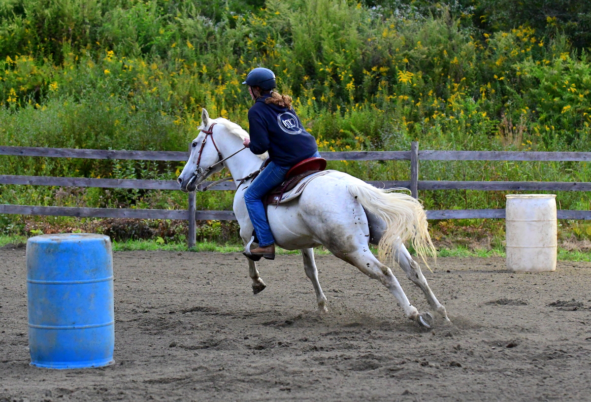 20230923 The Wolcott Country Fair; Equestrian Ring Part 3 Sports